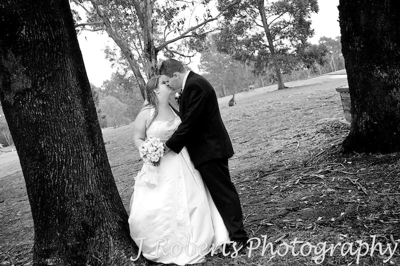 Bride and groom on golf course with kangaroos Riverside Oaks - wedding photography sydney